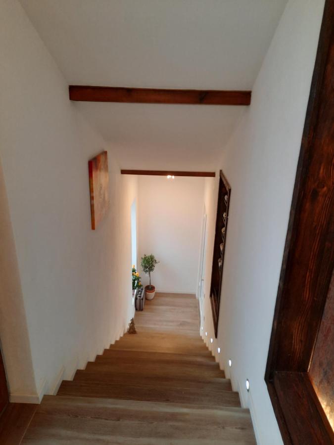 Apartments 'Niko' Waldsee  Extérieur photo